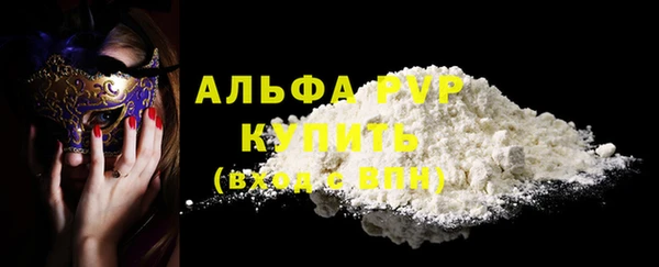 эйфоретик Пересвет